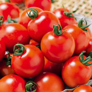 みにとまと トマト 種 【 ミニトマト 千果99 】 1000粒 ( トマトの種 ) | 農業屋.com