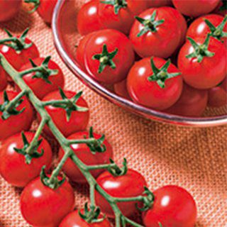 000000016236-01.jpg?size=l&w=