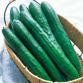 まがったキュウリ キュウリ 種 【 南進 】 350粒 ( キュウリの種 ) | 農業屋.com