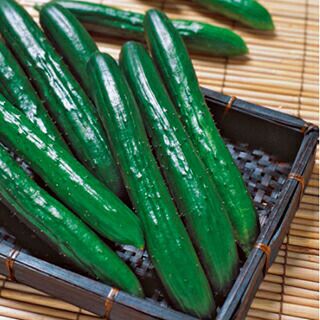 さつまいも苗 【 安納芋 】 100本 【予約販売 芋づる さつまいも 苗