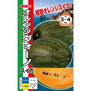 スイカ 種 【 オレンジヴォーノ（橙肉・中楕円） 】 小袋(7粒