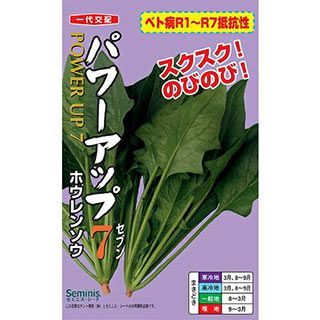 ホウレンソウ 種 【 パワーアップ7 】 1L ( ホウレンソウの種 )