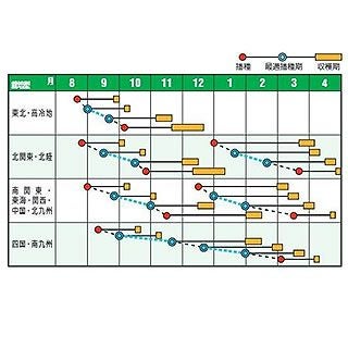 ホウレンソウ 種 【 パワーアップ7 】 1L ( ホウレンソウの種 )
