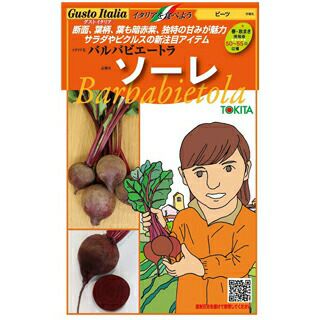 バルバビエートラ（ビート） 種【 ソーレ 】小袋（ 野菜種 西洋...