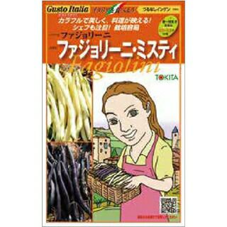 インゲン 種【 ファジョリーニ・ミスティ 】小袋 50粒×2品種（ 野菜種