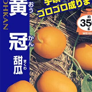 マクワウリ 種 【 黄冠 】 20ml ( マクワウリの種 ) | 農業屋.com