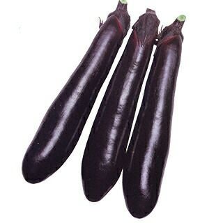 ナス苗 【 まんぞく長ナス 】 接木苗 4本セット 【予約販売】 | 農業屋.com