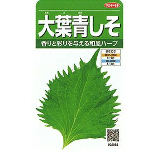 葉菜 種 【 大葉青しそ 】 実咲小袋 ( 葉菜の種 ) | 農業屋.com