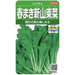 葉菜 種 【 春まき新山東菜 】 実咲小袋 ( 葉菜の種 ) | 農業屋.com