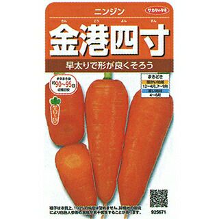 ニンジン 種 【 金港四寸 】 実咲小袋 ( ニンジンの種 ) | 農業屋.com