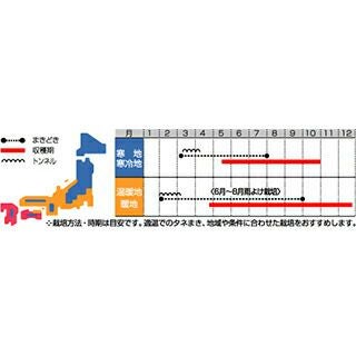 春菊 種 【 さとにしき 】 1L ( 春菊の種 ) | 農業屋.com