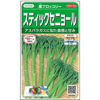 茎ブロッコリー 種 【 スティックセニョール 】 実咲小袋 ( 茎