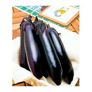送料無料】【 令和6年産 】【 新米 】 奈良県産 ヒノヒカリ 玄米 2等米 