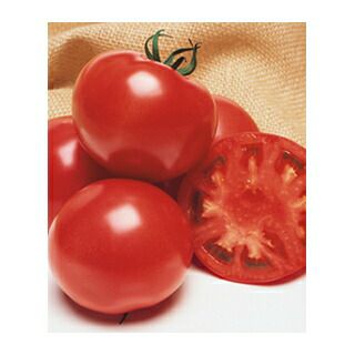 ブロッコリー 種 【 おはよう 】 ペレット5000粒 | 農業屋.com