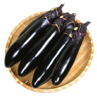 ナス 種 【 黒の匠 】 2000粒 ( ナスの種 ) | 農業屋.com
