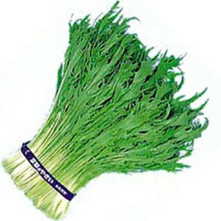 000000017503-01.jpg?size=l&w=