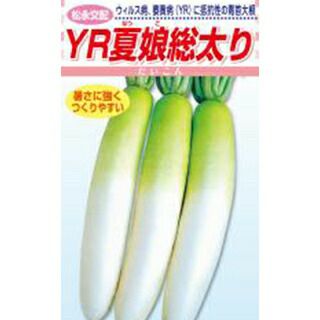 ダイコン 種 【 YR夏娘総太り 】 2dl ( ダイコンの種 ) | 農業屋.com