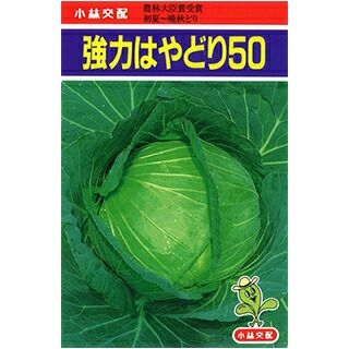 キャベツ　種 000000017540-01.jpg?size=l&w=