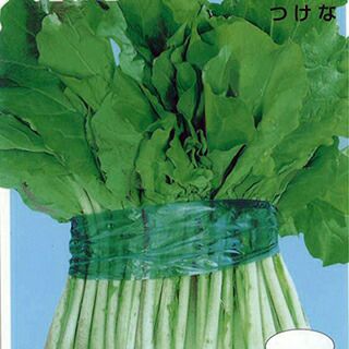 葉菜 種 【 東京べかな 】 20ml ( 葉菜の種 ) | 農業屋.com