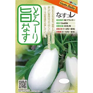 ナス 種 【 ナス とろーり旨なす 揚げてトルコ 】 100粒 ( ナスの種