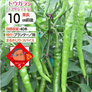 000000017752-01.jpg?size=l&w=