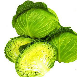 野菜の種　仮 伝統野菜や固定種の種の通販｜野口のタネ・野口種苗研究所
