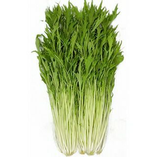 水菜 種 【 水竜 】 2dl ( 水菜の種 ) | 農業屋.com