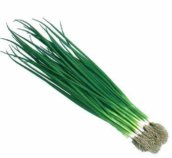 ネギ 種 【 小ねぎ 冬どり若香 】 1L ( ネギの種 ) | 農業屋.com