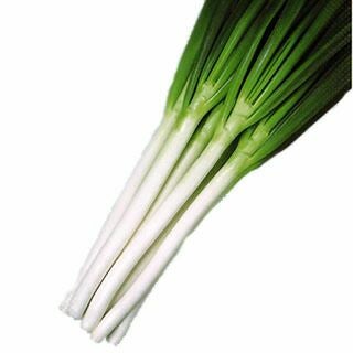 ネギ 種 【 群翠 】 コート5千粒 ( ネギの種 ) | 農業屋.com
