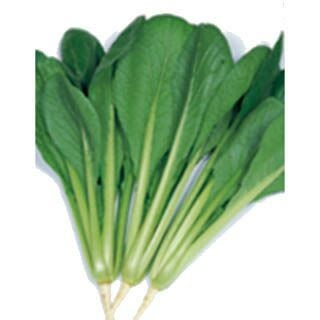 000000017957-01.jpg?size=l&w=