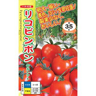 トマト 種 【 リコピンポン 】 500粒 ( トマトの種 ) | 農業屋.com