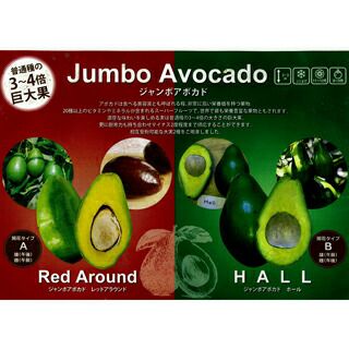 000000018076-02.jpg?size=l&w=