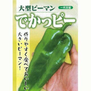 送料無料】【 令和6年産 】【 新米 】 愛知県産 あいちのかおり 玄米 2