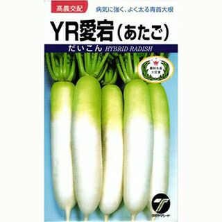 だいこん R N 000000018188-01.jpg?size=l&w=