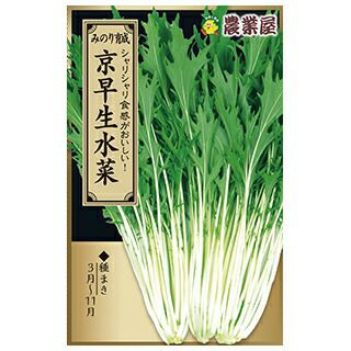 水菜商品 000000018205-01.jpg?size=l&w=