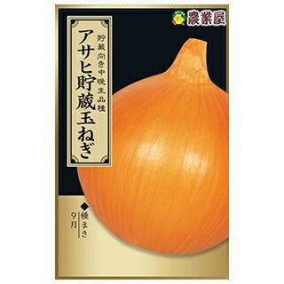 玉ねぎ 種 【 アサヒ貯蔵玉ねぎ 】 3ml(約360粒) ( 玉ねぎの種