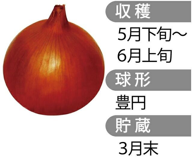 玉ねぎ苗 【予約】 人気の初心者3種セット [ たまねぎ苗 タマネギ苗