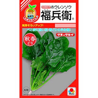 ほうれん草 種 【 福兵衛 】 小袋(約40.0ml) ( ほうれん草の種
