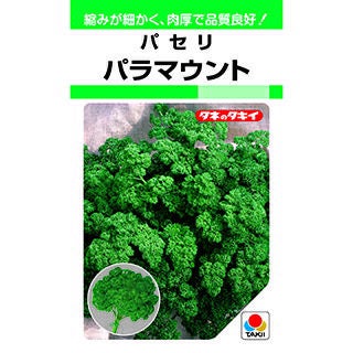 パセリ 種 【 パラマウント GF 】 小袋（3ml） ( パセリの種 ) | 農業