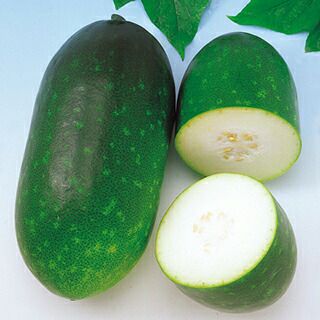 冬瓜 | 農業屋.com