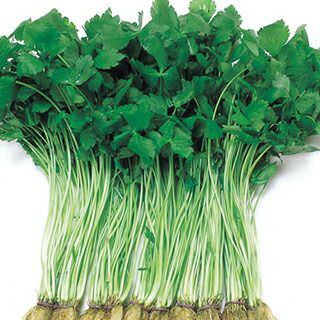 三つ葉 | 農業屋.com
