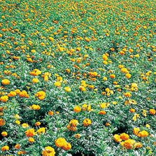 000000019057-01.jpg?size=l&w=