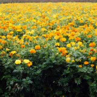 000000019068-01.jpg?size=l&w=