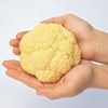  カリフラワー 苗　オレンジ美星 6本セット【予約販売】
