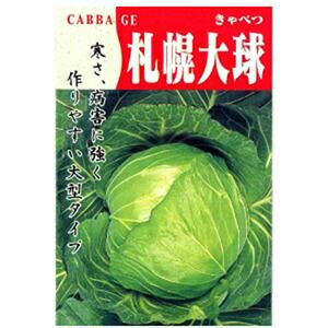 キャベツ 種 【 札幌大球（4号） 】 小袋 ( キャベツの種 )