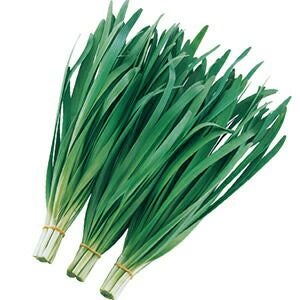 000000019668-01.jpg?size=l&w=