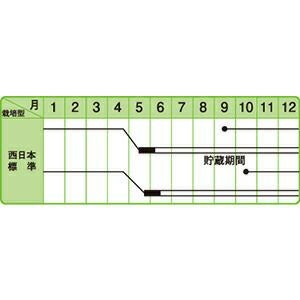 玉ねぎ 種 【 豊産こがね 】 100ｇ