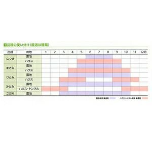 小松菜 種 【 なつき 】 2dl ( 小松菜の種 ) | 農業屋.com