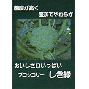 ブロッコリー 種 【 しき緑96号 】 2500粒 ( ブロッコリーの種
