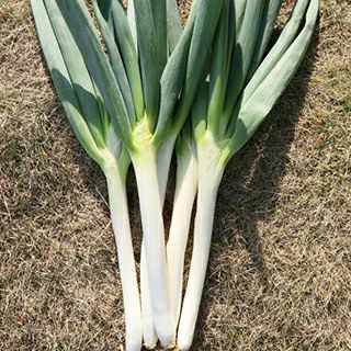 000000020038-01.jpg?size=l&w=